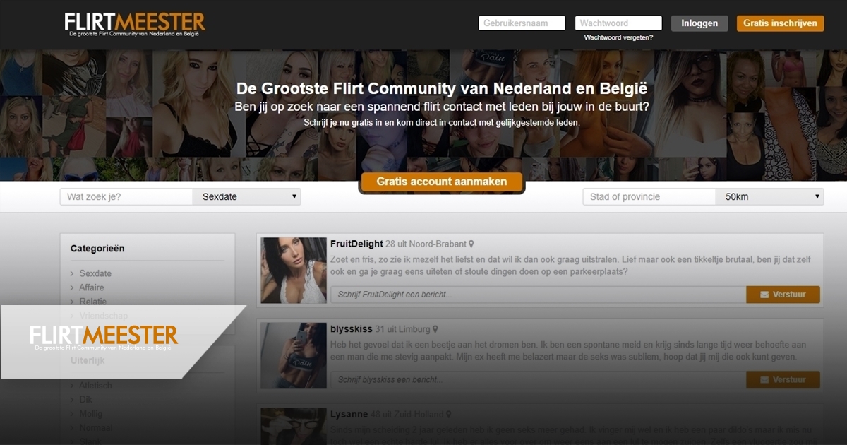 flirtmeester is een neppe erotische chatdienst met neppe profielen van sexy vrouwen en op zoek naar erotisch getinte chats