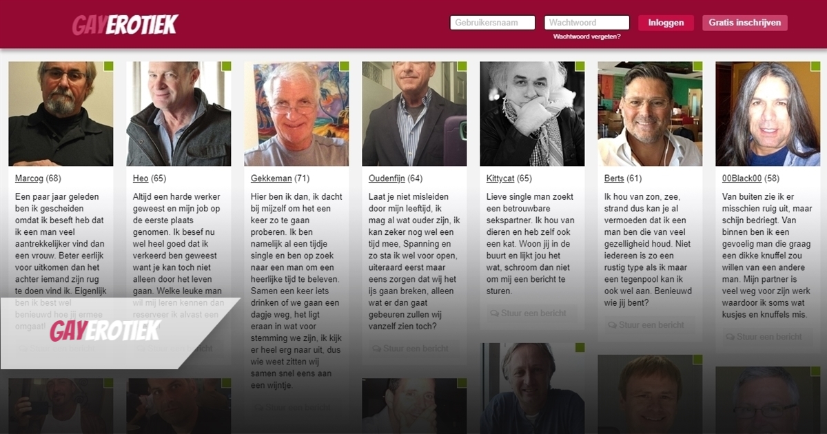 gayerotiek is een op lust gebaseerden chat met fictieve profielen van biseksuele, gay boys